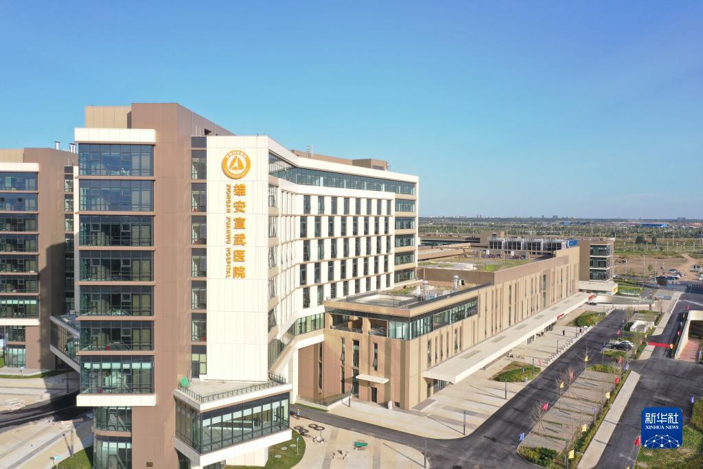 金莎国际